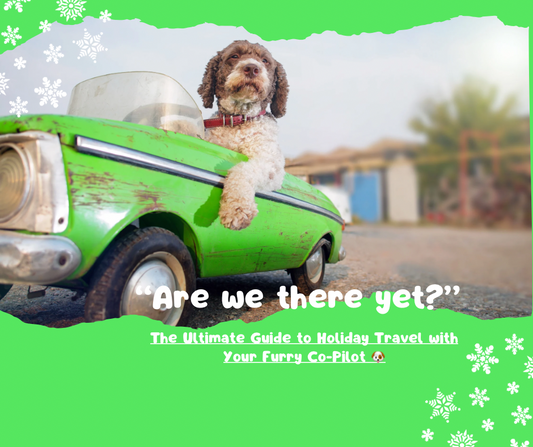 🚗🐾 “Are We There Yet?” – The Ultimate Guide to Holiday Travel with Your Furry Co-Pilot 🐶