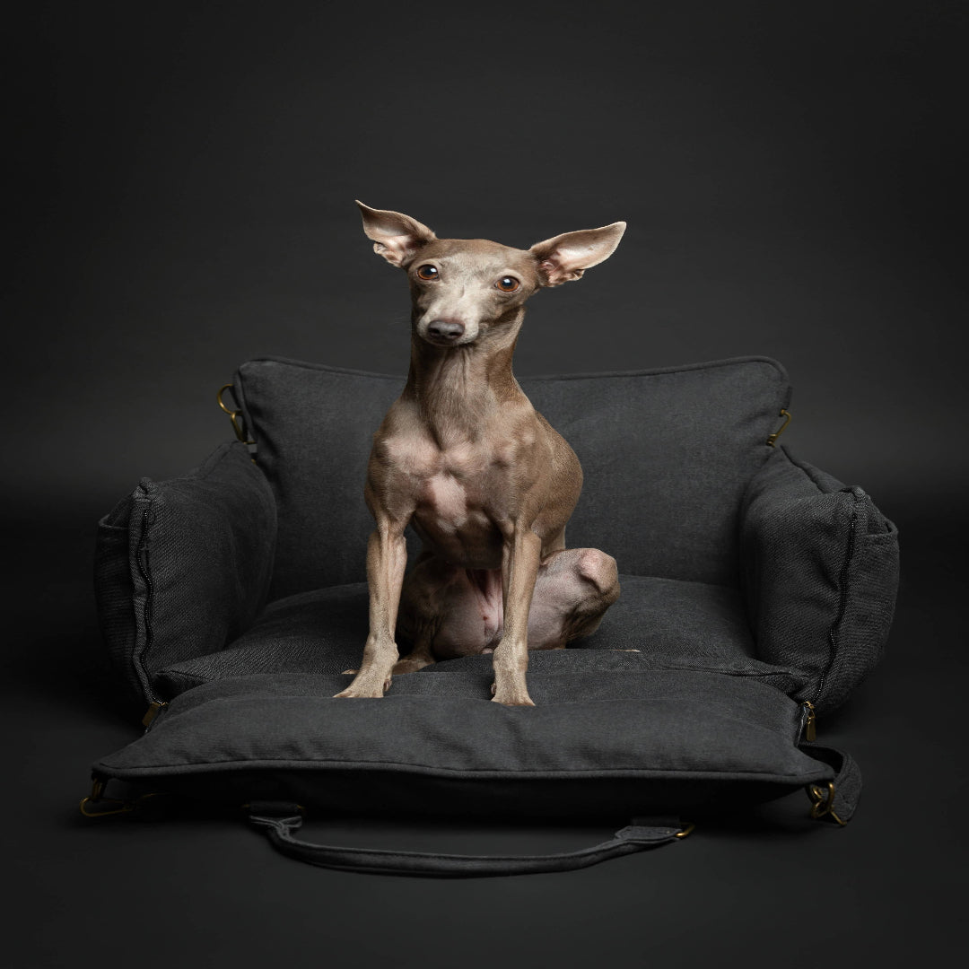 4-in-1 Luxury Dog Car Seat – Travel Bed, Lounger & Portable Carrier with 4X Safety System
