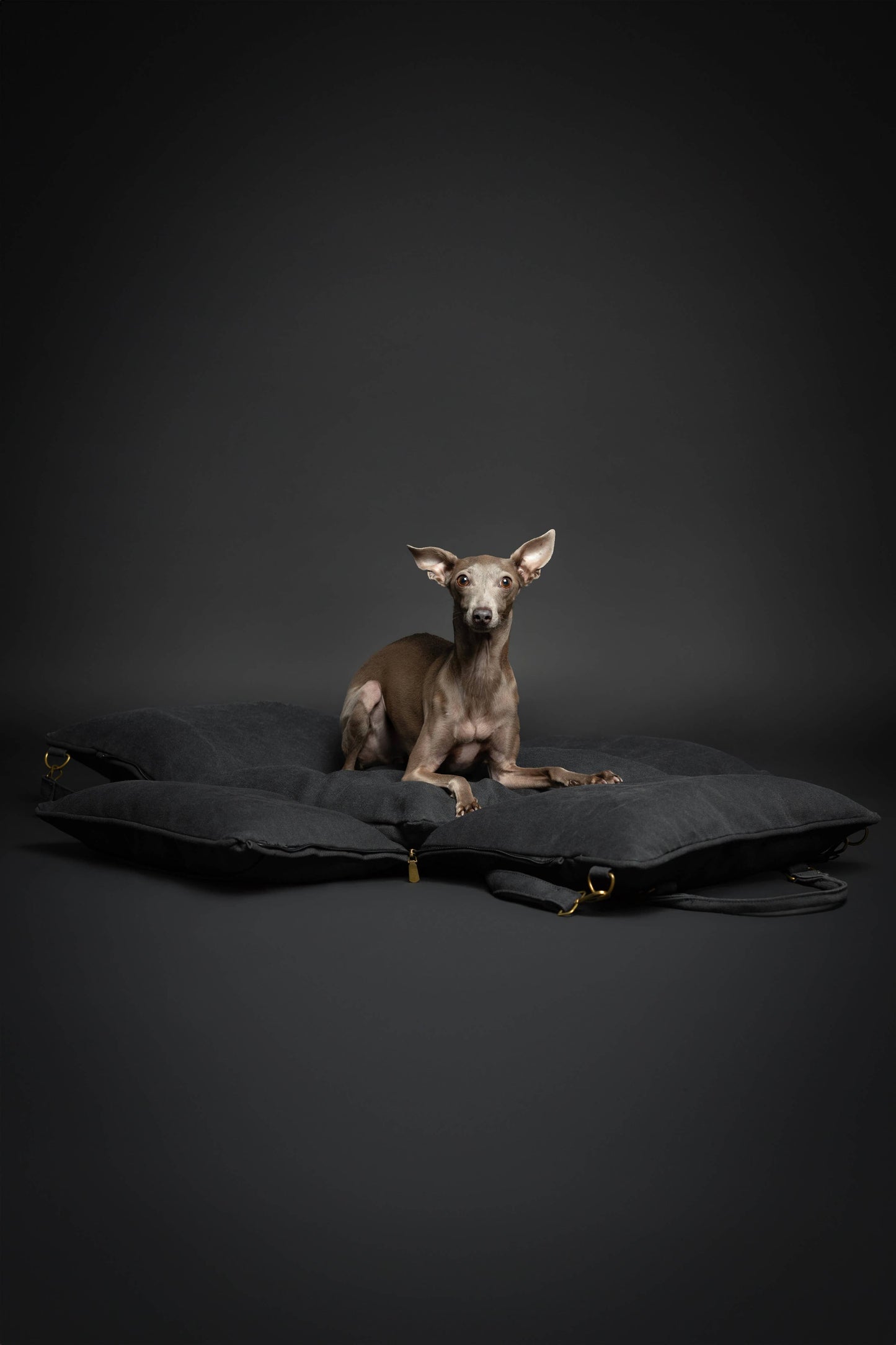 4-in-1 Luxury Dog Car Seat – Travel Bed, Lounger & Portable Carrier with 4X Safety System