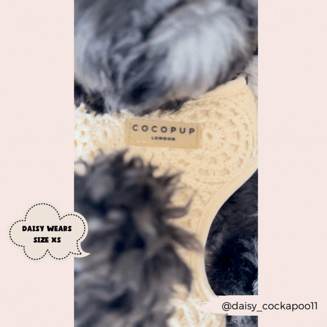 Festival Crochet Dog Harness – Adjustable, Lightweight & Stylish for Spring and Summer Walks