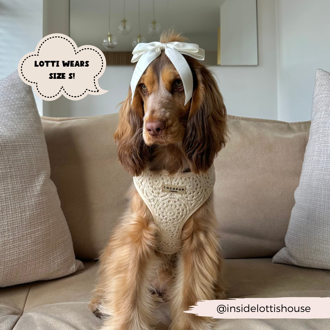 Festival Crochet Dog Harness – Adjustable, Lightweight & Stylish for Spring and Summer Walks
