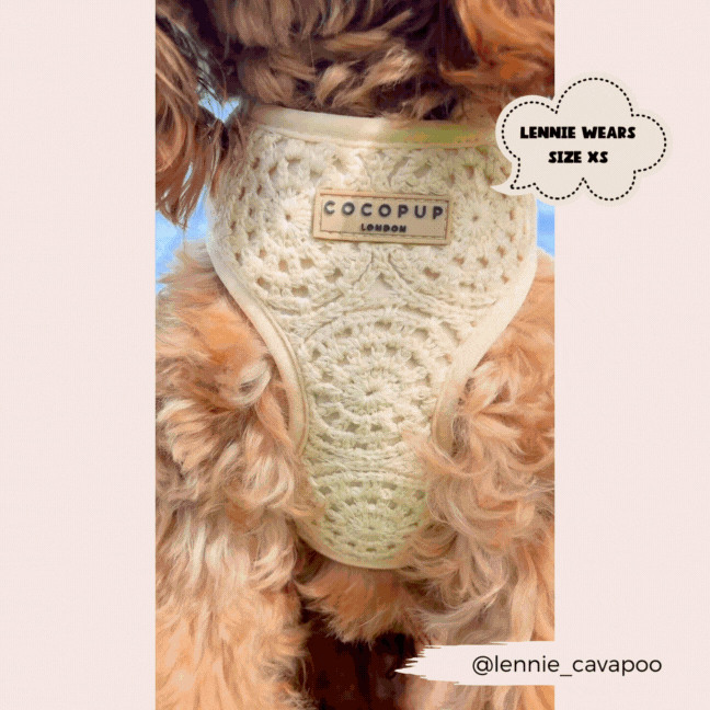 Festival Crochet Dog Harness – Adjustable, Lightweight & Stylish for Spring and Summer Walks