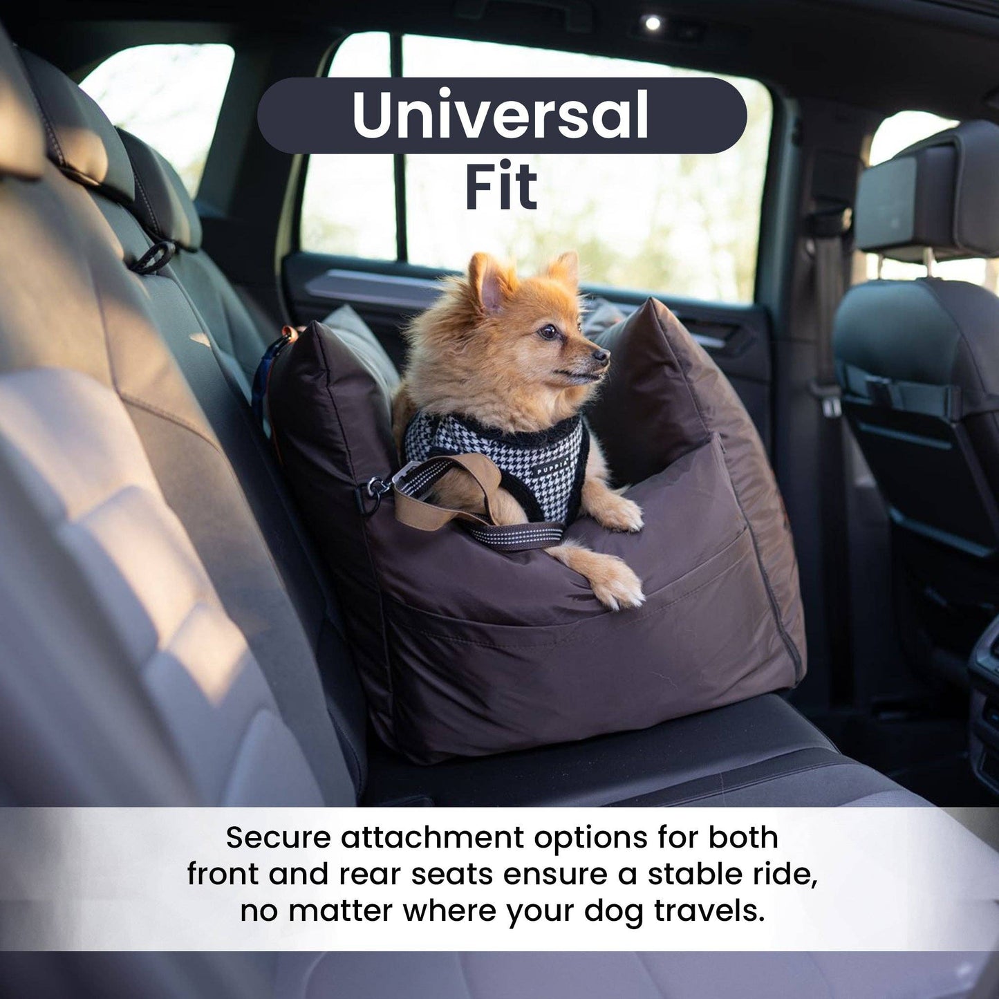 Luxury Car Dog Seat with ISOFIX, Safety & Comfort Enhanced