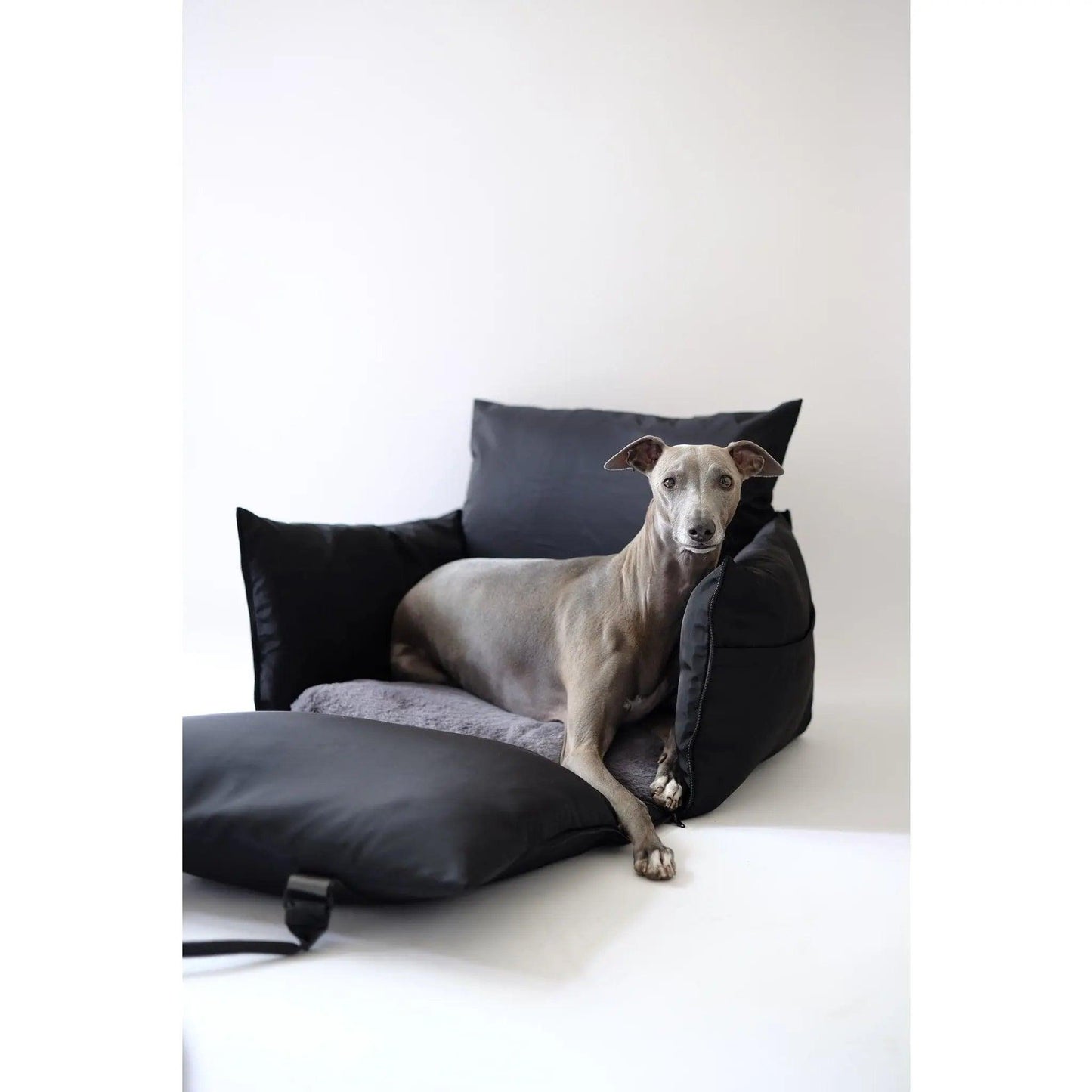 Luxury Car Dog Seat with ISOFIX, Safety & Comfort Enhanced