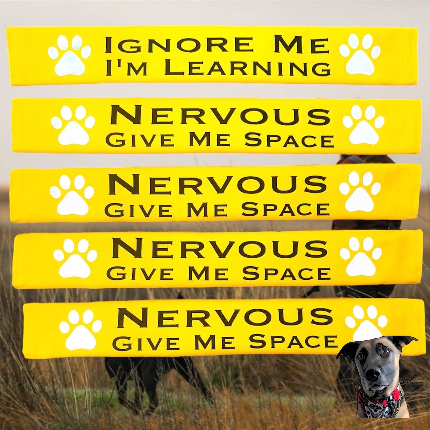 Lead Slips - Nervous Give Me Space