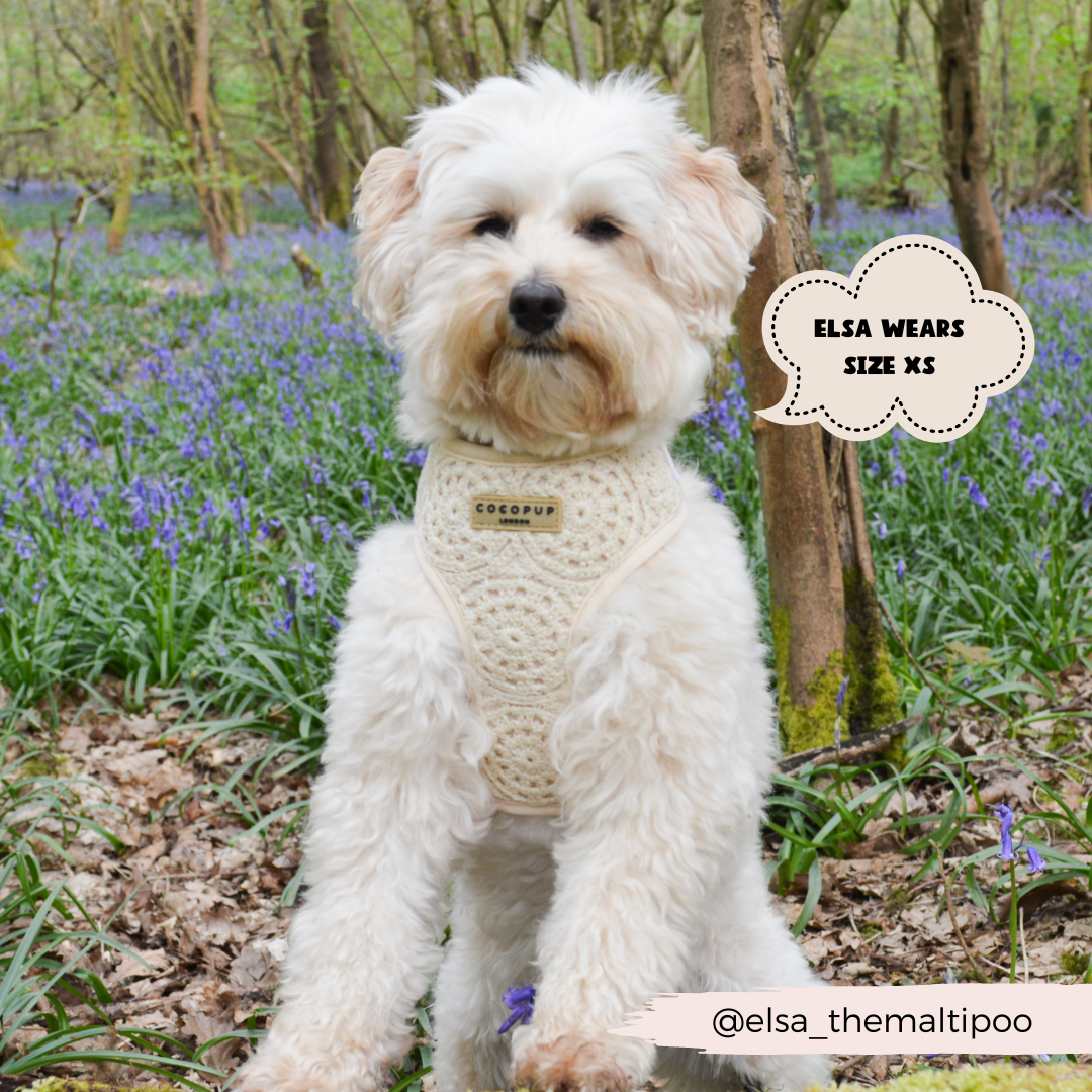 Festival Crochet Dog Harness – Adjustable, Lightweight & Stylish for Spring and Summer Walks