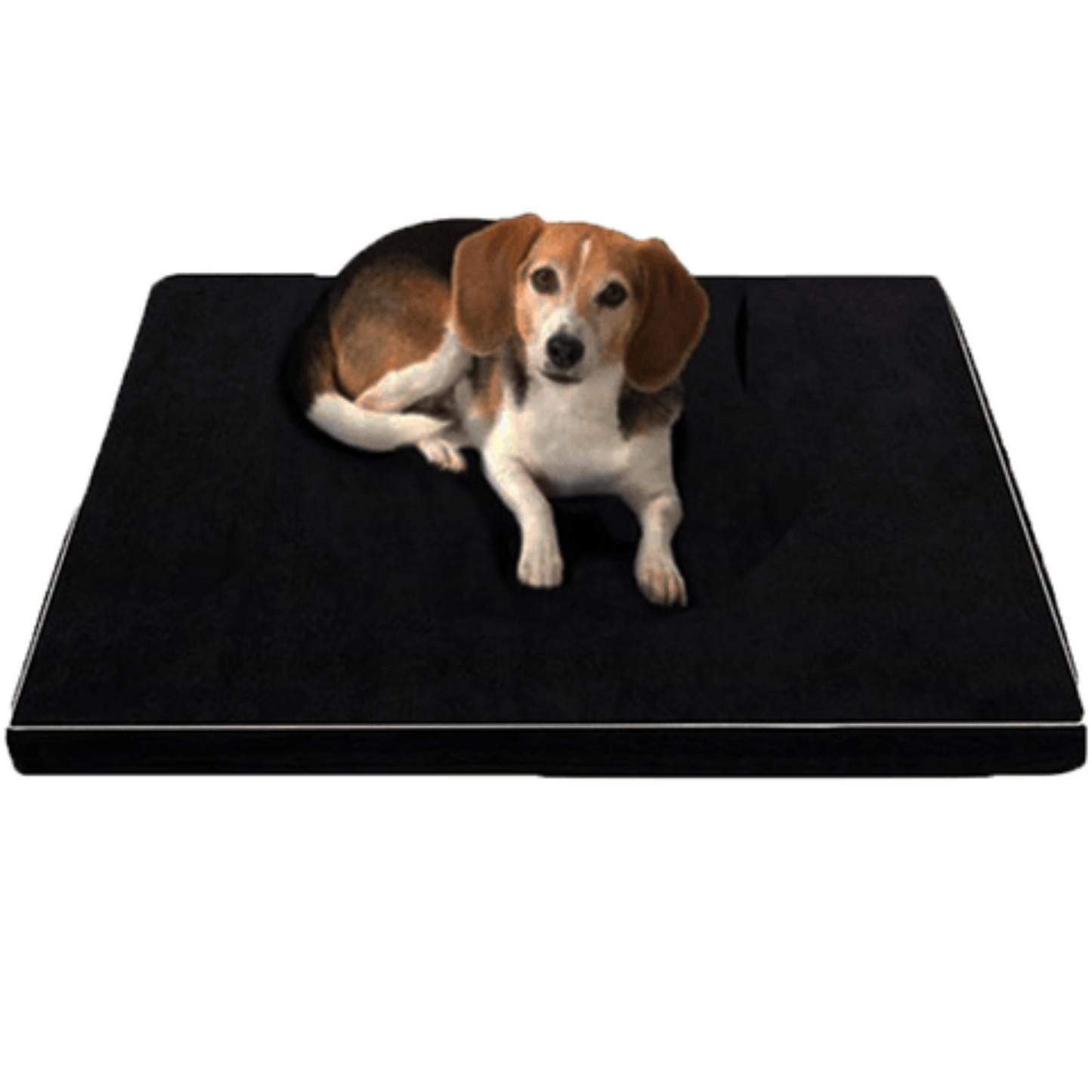 Luxorest: Premium Orthopedic Memory Foam Beds For Larger And Elderly Dogs-0