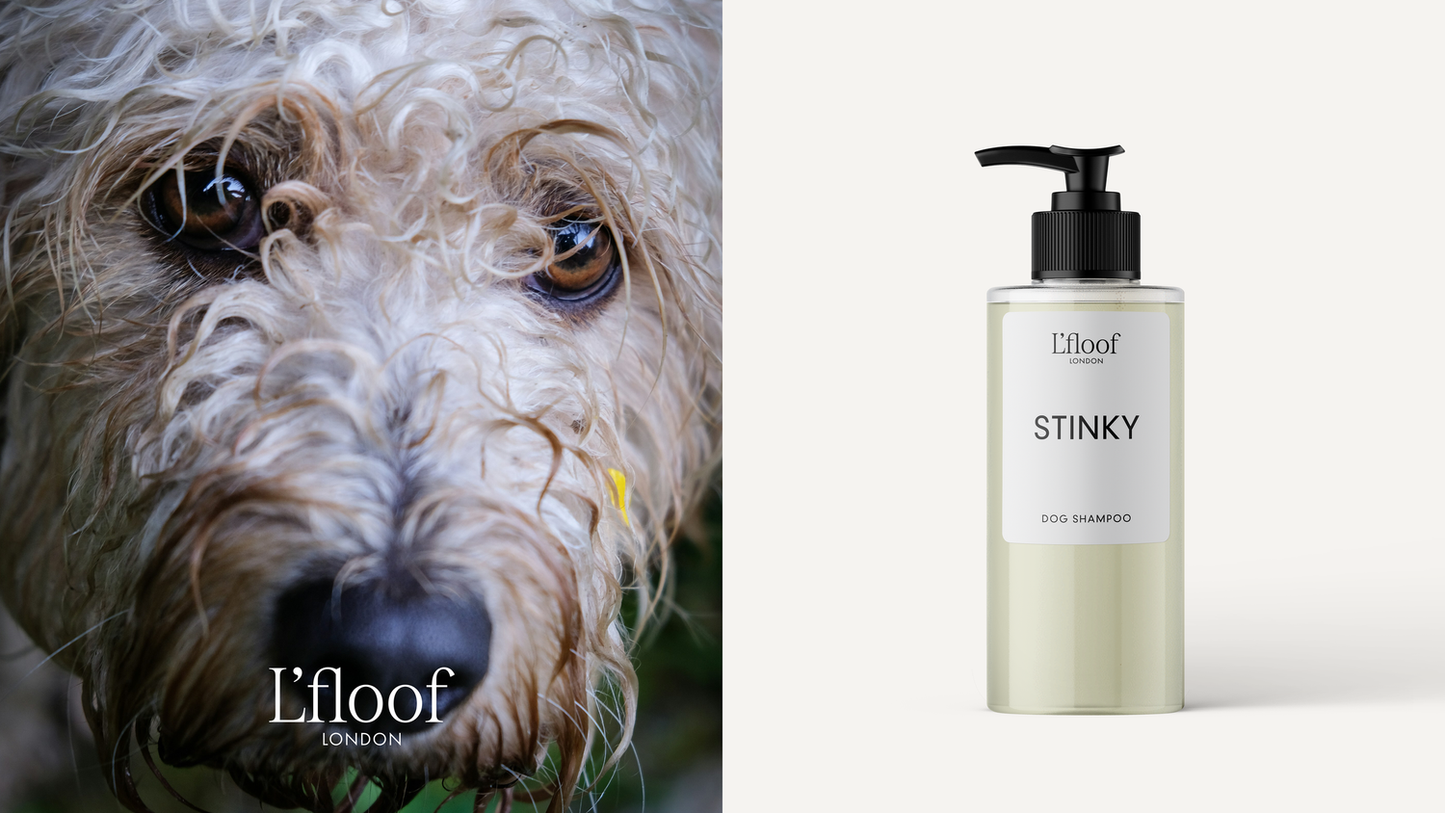 Luxury Dog Shampoo