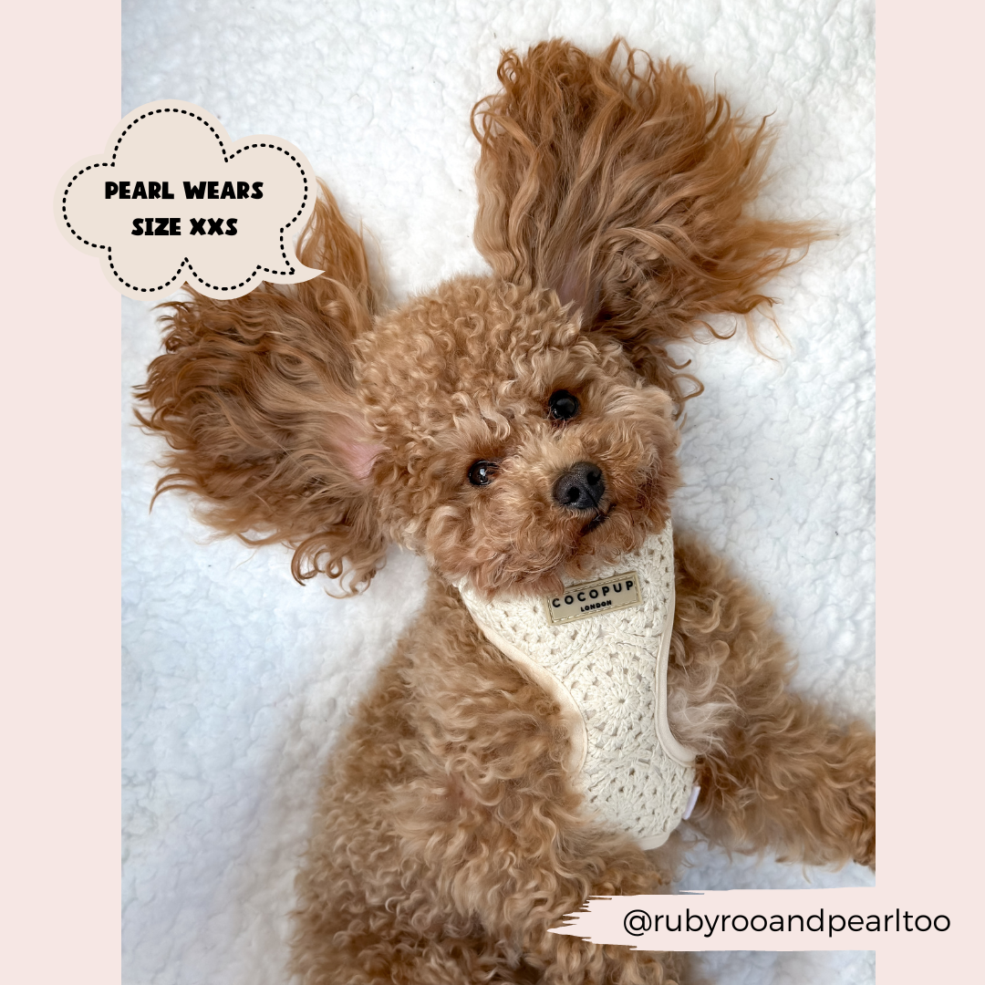 Festival Crochet Dog Harness – Adjustable, Lightweight & Stylish for Spring and Summer Walks