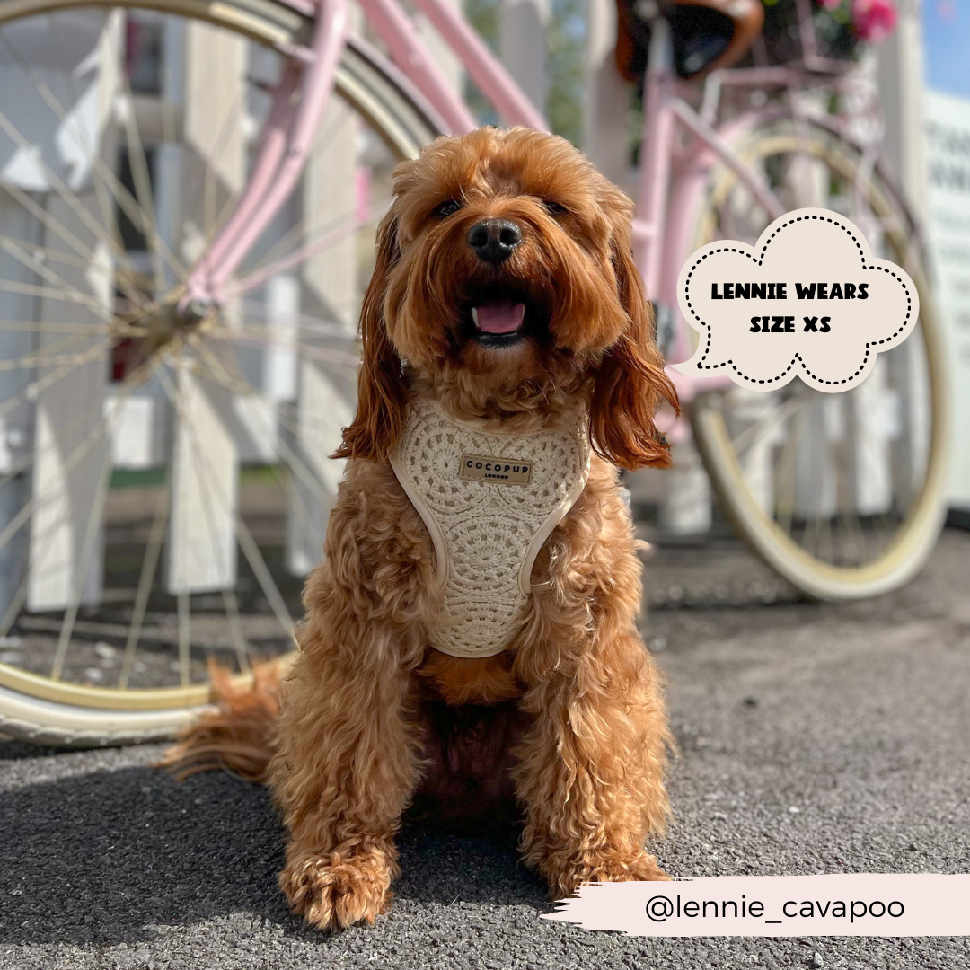 Festival Crochet Dog Harness – Adjustable, Lightweight & Stylish for Spring and Summer Walks
