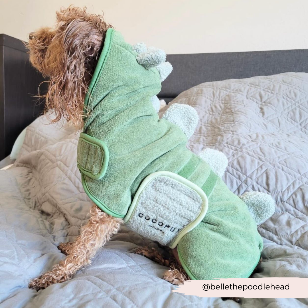 Dinopup Dog Drying Robe – Soft Microfibre Bathrobe with Dino Design