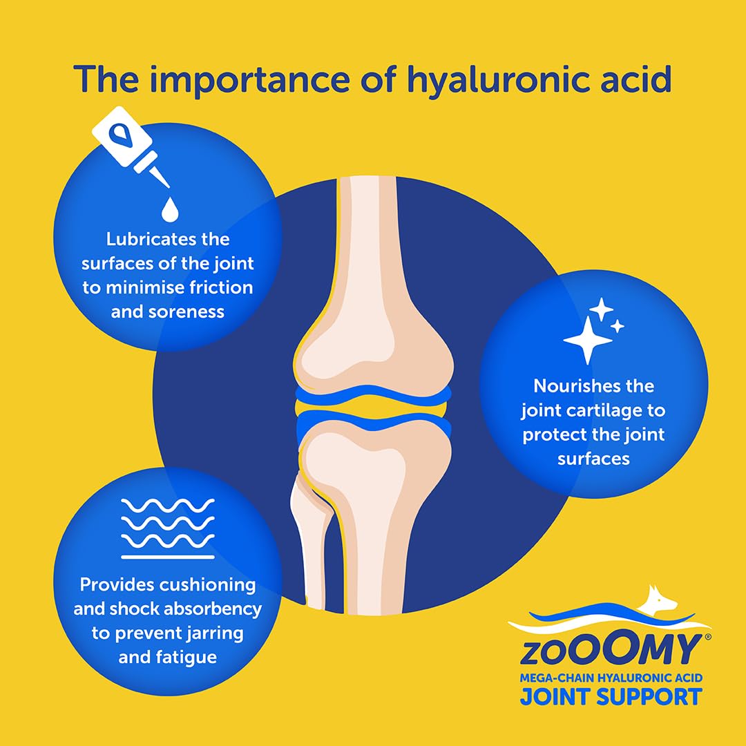 Zooomy Liquid Dog Joint Supplement | Hyaluronic Acid for Hip & Elbow Care | Canine Joint aid | 100ml