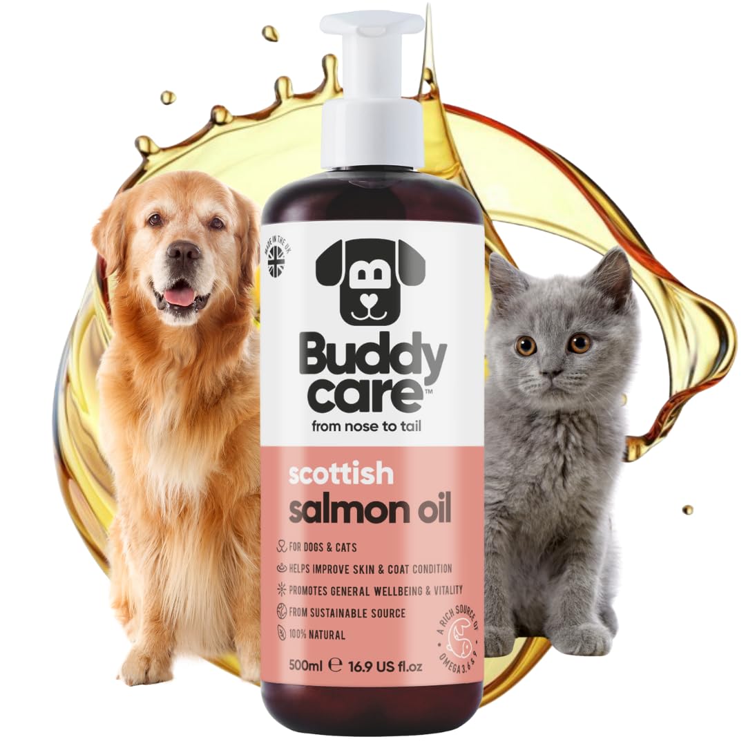 Buddycare Premium Salmon Oil for Dogs UK (500ml) | Essential Omega 3, 6 & 9 Cat & Dog Supplements | Natural Omega 3 For Cats | Salmon Oil For Cats for Immune Support