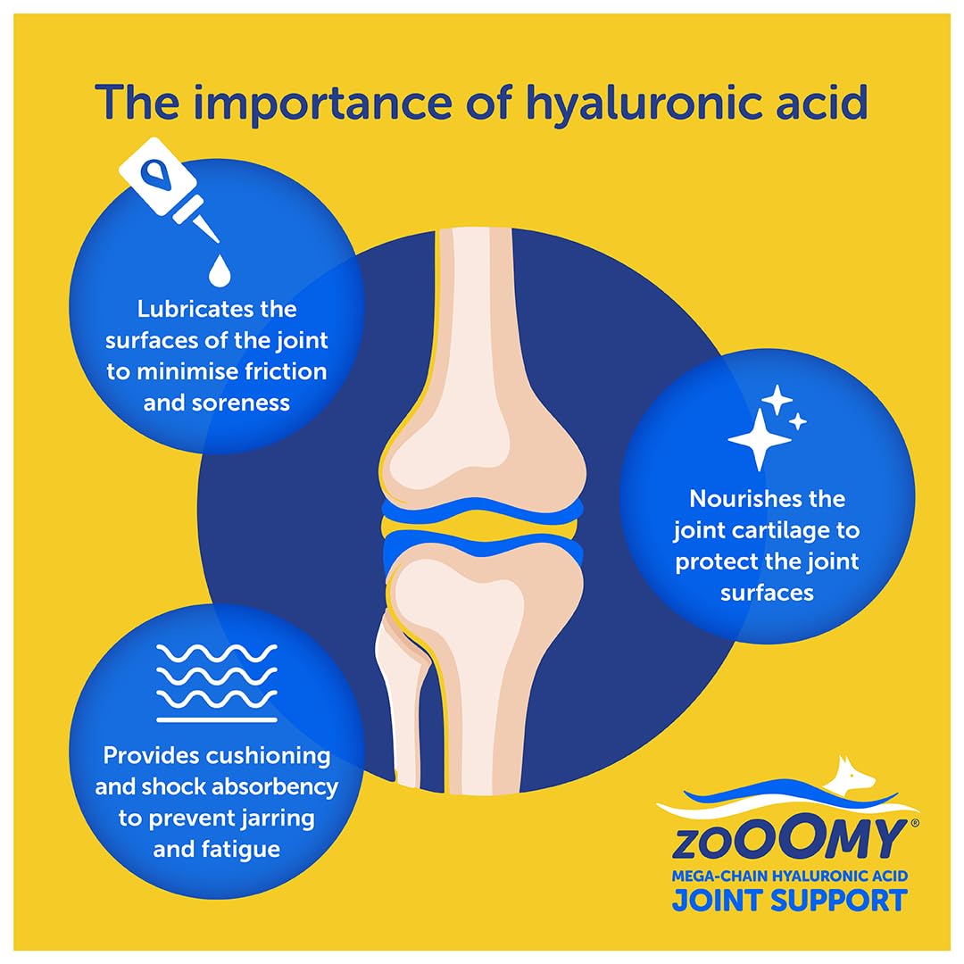 Zooomy Liquid Dog Joint Supplement | Hyaluronic Acid for Hip & Elbow Care | Canine Joint aid | 100ml