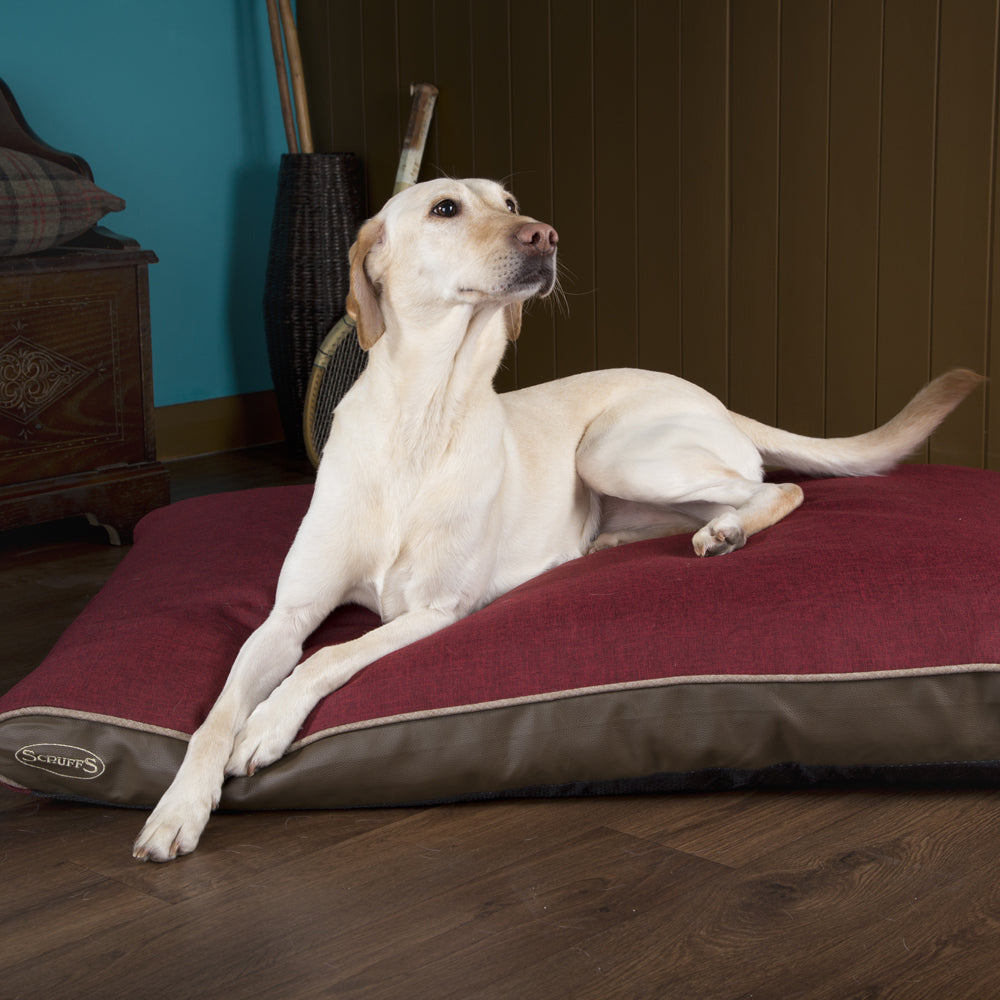 Hilton Memory Foam Orthopaedic Dog Bed / Dog Mattress (Burgundy, Brown, Grey) by Scruffs-4