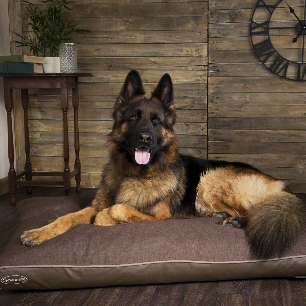 Hilton Memory Foam Orthopaedic Dog Bed / Dog Mattress (Burgundy, Brown, Grey) by Scruffs-5