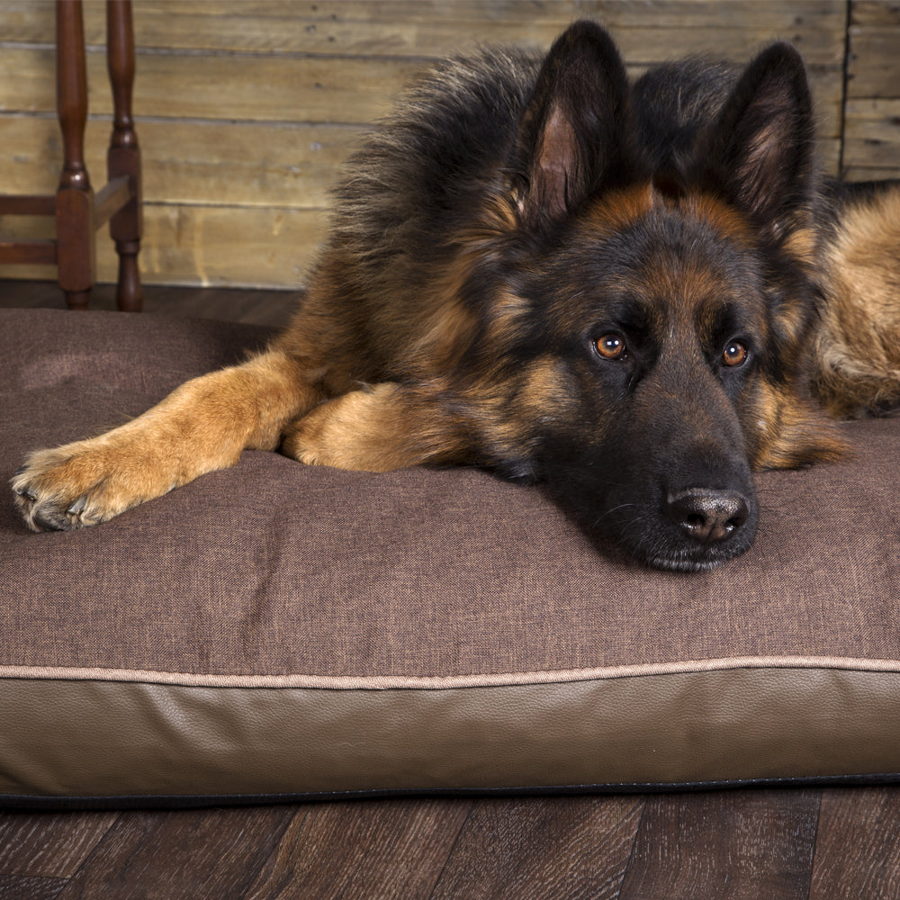 Hilton Memory Foam Orthopaedic Dog Bed / Dog Mattress (Burgundy, Brown, Grey) by Scruffs-6