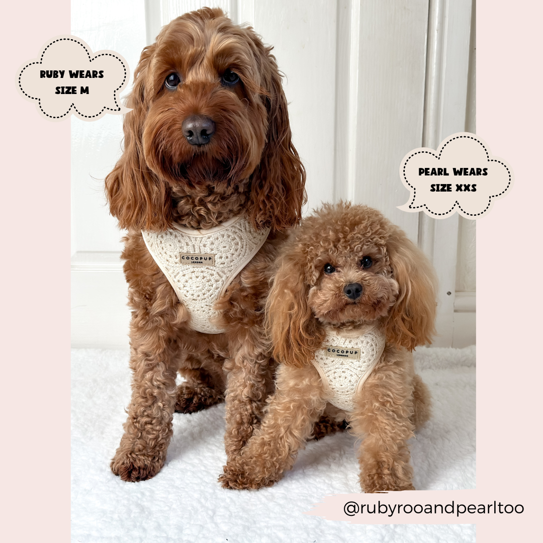 Festival Crochet Dog Harness – Adjustable, Lightweight & Stylish for Spring and Summer Walks
