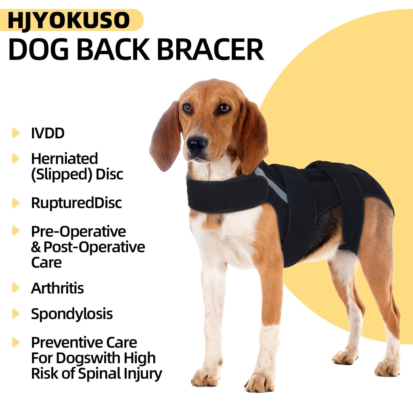 Dog Back Brace M, Adjustable Spine Support Vest for IVDD, Slipped Disc, Herniated Disc, Arthritis, Post Surgery Recovery, Back Pain Relief for Dachshund,Corgi