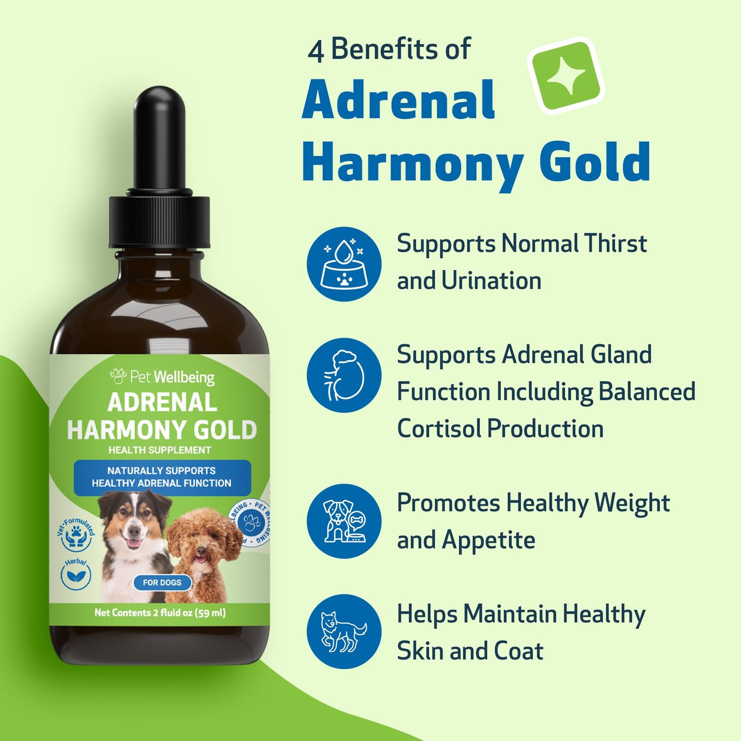 Adrenal Harmony Gold for Dogs – Natural Support for Cushing’s & Adrenal Health | 59ml Herbal Pet Supplement