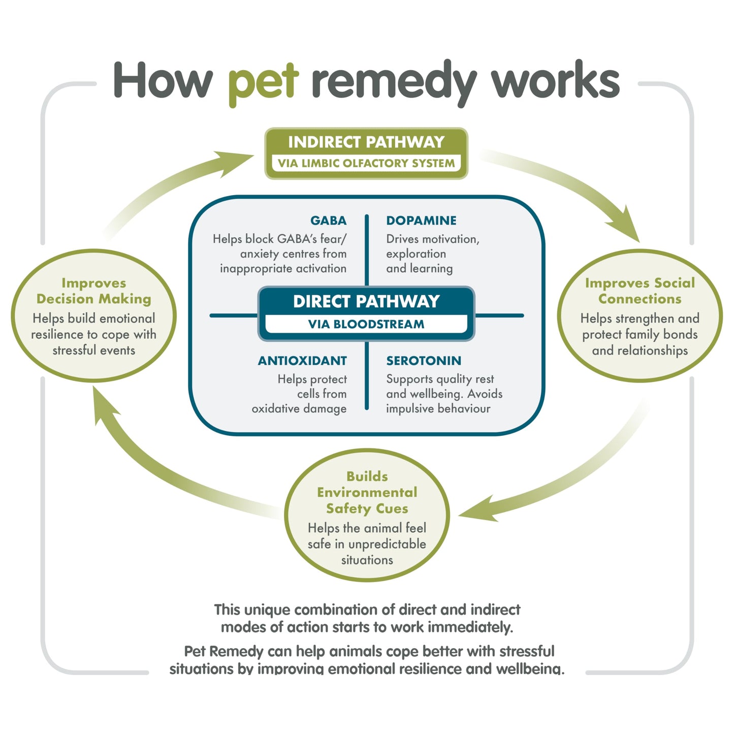 Natural Pet Calming Spray – Safe, Gentle, and Effective Relief for Stress & Anxiety- 200 ml