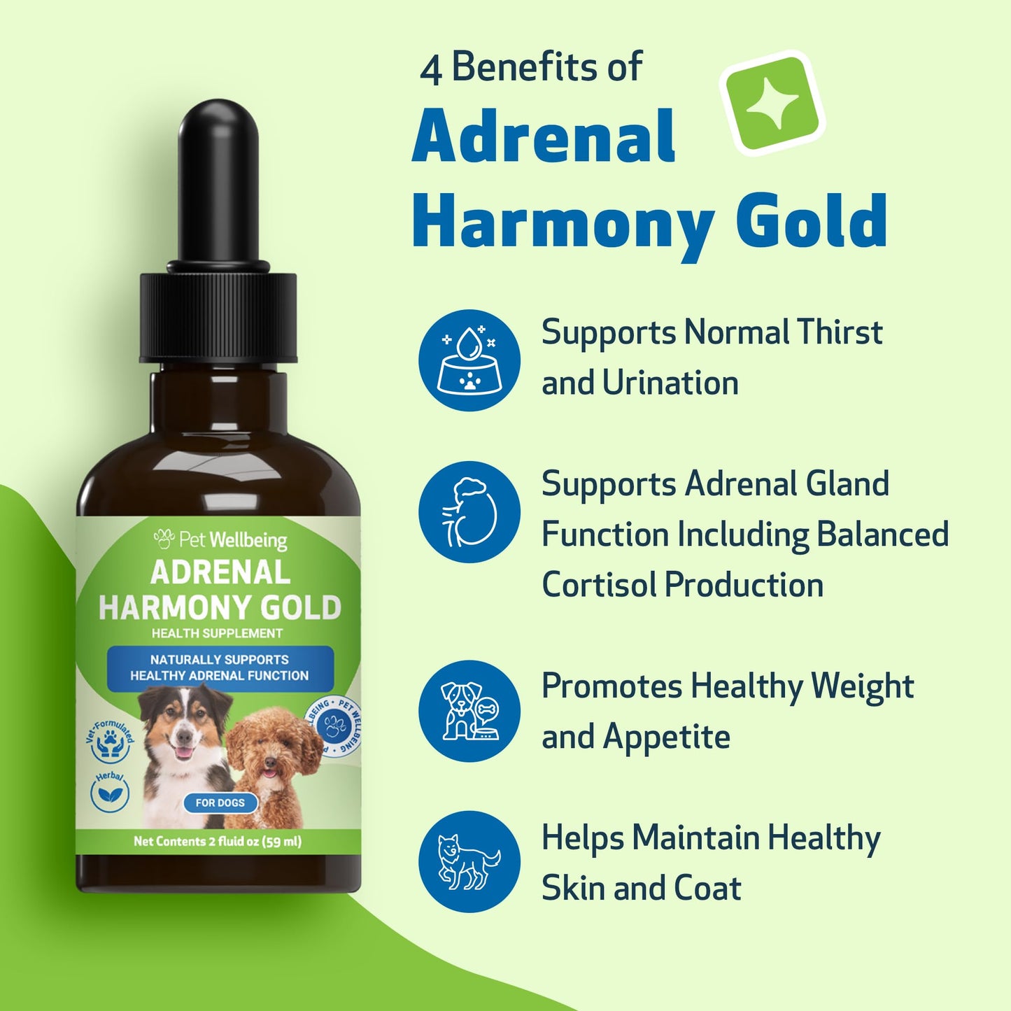 Adrenal Harmony Gold for Dogs – Natural Support for Cushing’s & Adrenal Health | 59ml Herbal Pet Supplement