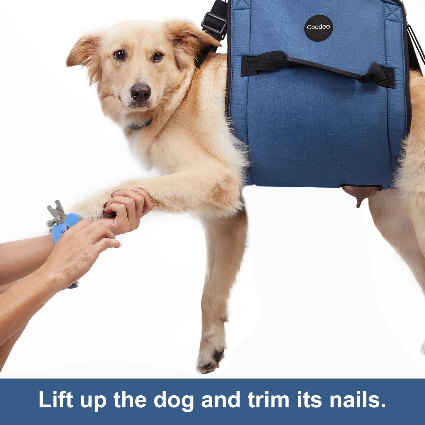 Dog Support Sling – Full Body Lift Harness for Senior & Injured Dogs