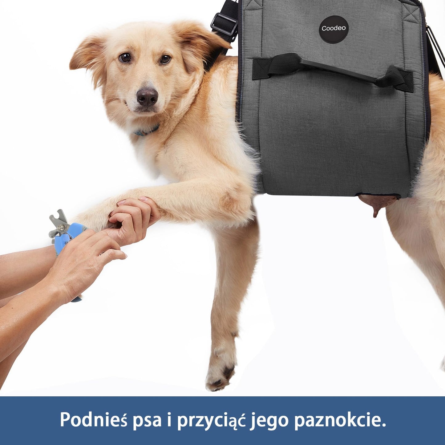 Dog Support Sling – Full Body Lift Harness for Senior & Injured Dogs