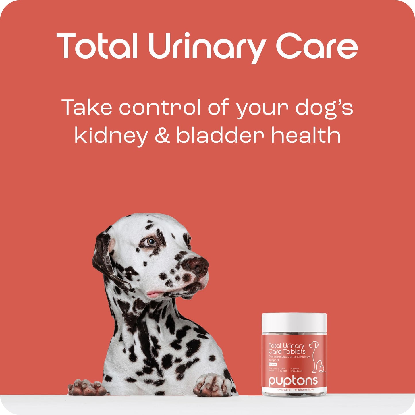Puptons Total Urinary Care | Dog UTI, Incontinence & Cystitis Relief Tablets | Natural Ingredients | Advanced Bladder & Kidney Support for Dogs (30 Tablets) | Puptons