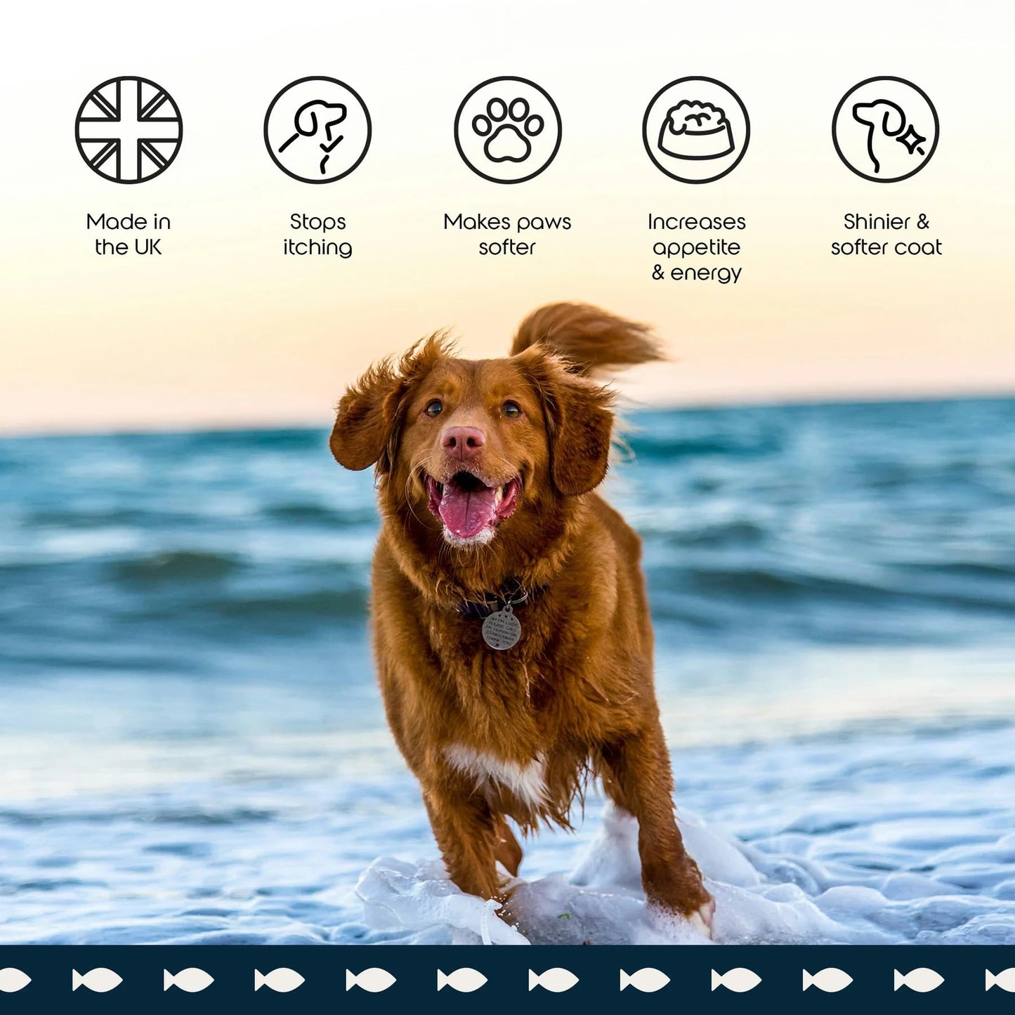 Puptons Norwegian Salmon Oil for Dogs & Cats | Contains 21 Omega Fatty Acids | Fish Oil Supplement for Glossy Coat, Immune Support, Itchy Skin, Softer Paws, Joint & Brain Health | 500ml without pump