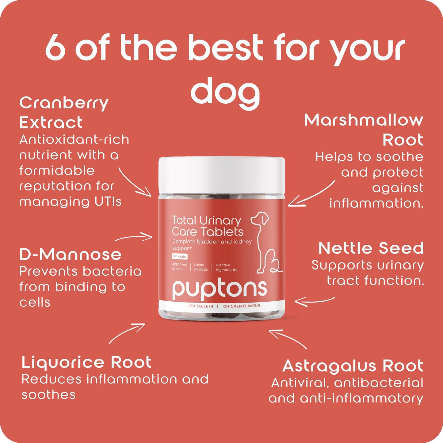 Puptons Total Urinary Care | Dog UTI, Incontinence & Cystitis Relief Tablets | Natural Ingredients | Advanced Bladder & Kidney Support for Dogs (30 Tablets) | Puptons