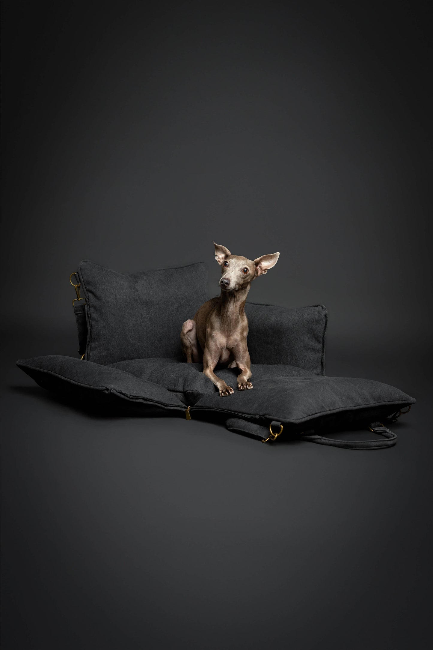 4-in-1 Luxury Dog Car Seat – Travel Bed, Lounger & Portable Carrier with 4X Safety System
