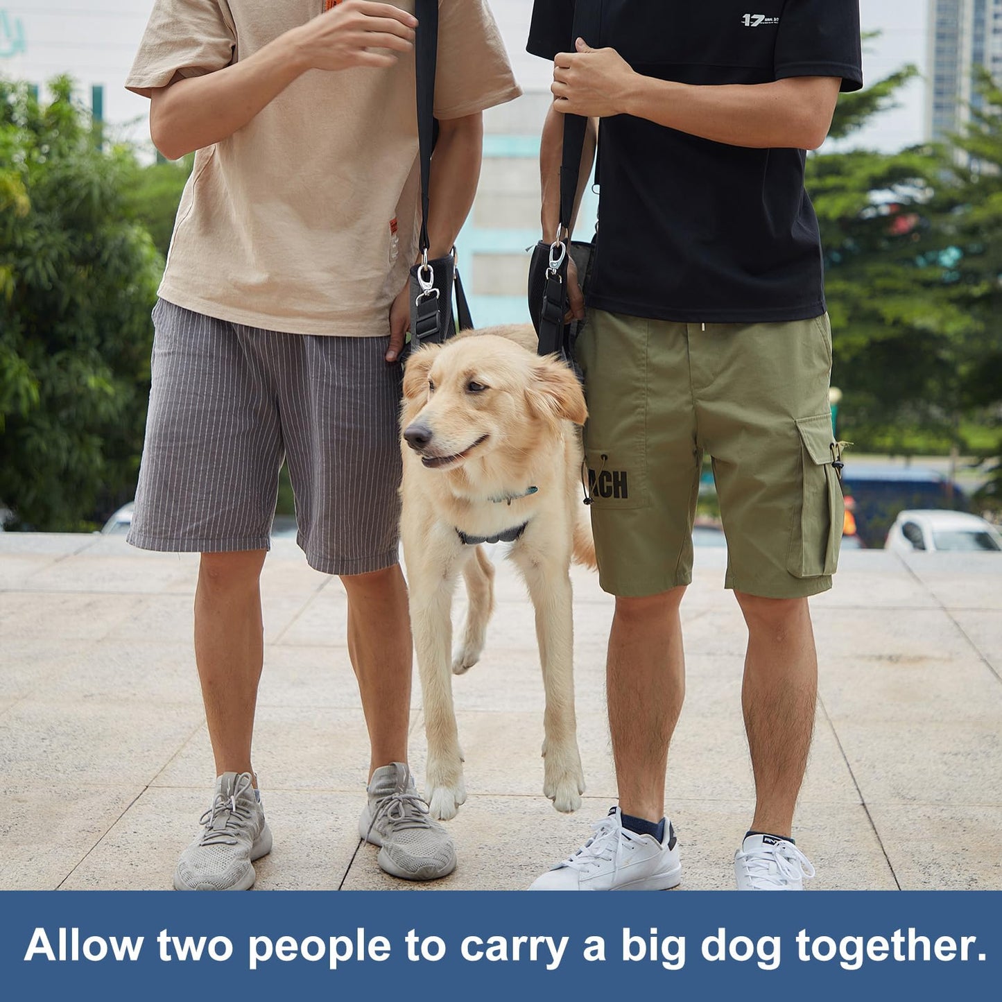 Dog Support Sling – Full Body Lift Harness for Senior & Injured Dogs