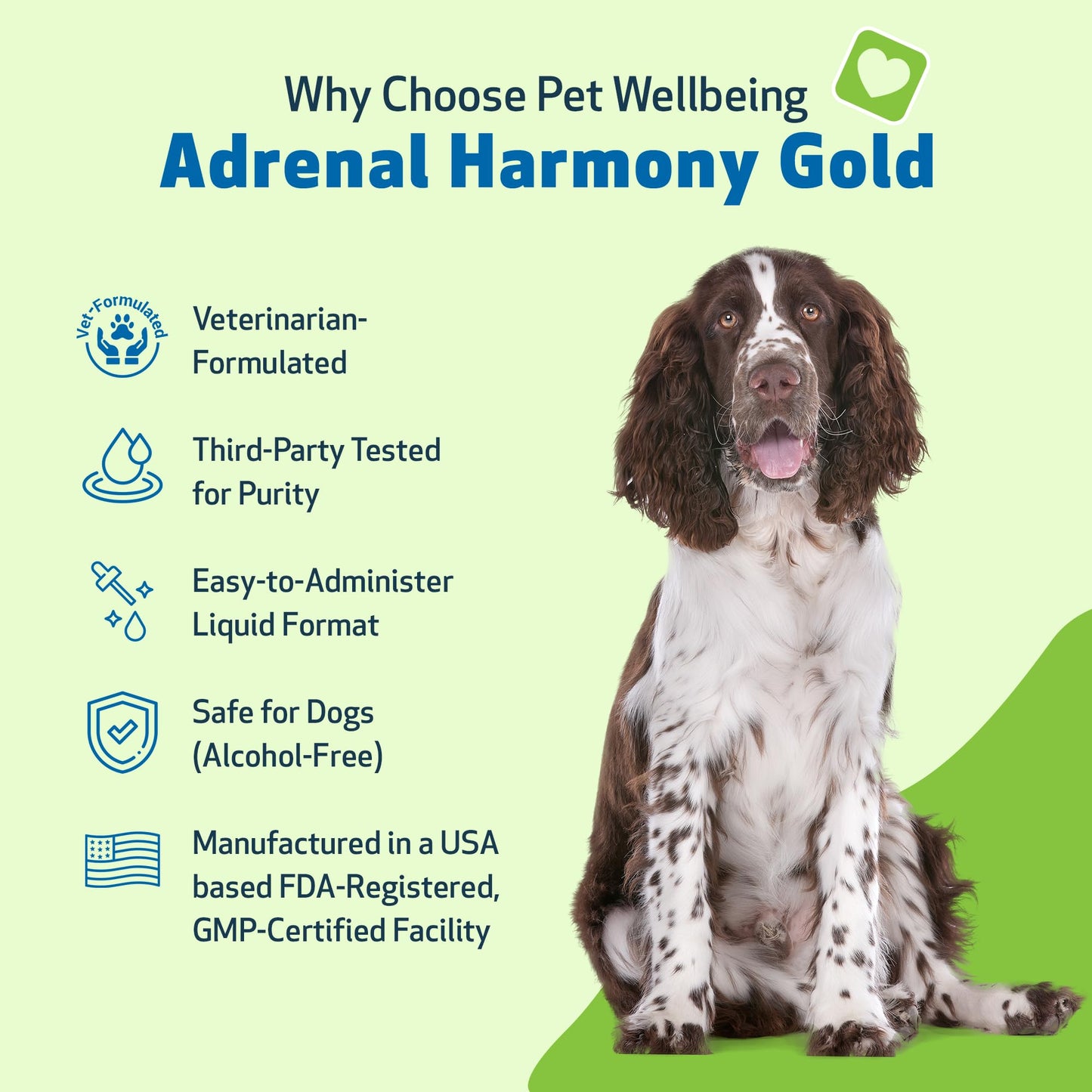 Adrenal Harmony Gold for Dogs – Natural Support for Cushing’s & Adrenal Health | 59ml Herbal Pet Supplement