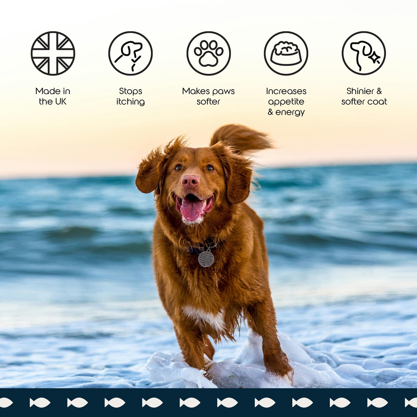 Puptons Norwegian Salmon Oil for Dogs & Cats | Contains 21 Omega Fatty Acids | Fish Oil Supplement for Glossy Coat, Immune Support, Itchy Skin, Softer Paws, Joint & Brain Health | 500ml without pump
