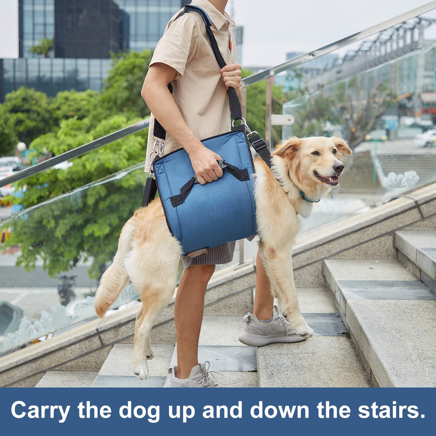 Dog Support Sling – Full Body Lift Harness for Senior & Injured Dogs