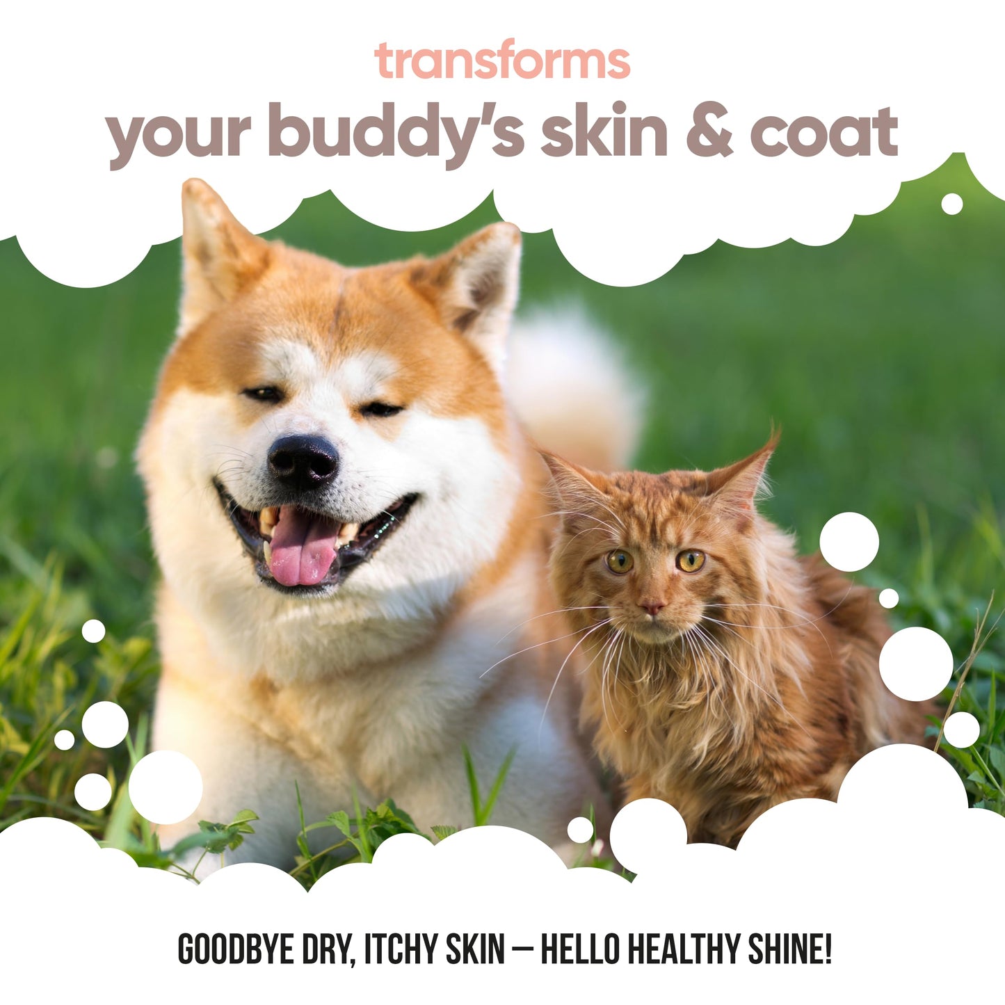 Buddycare Premium Salmon Oil for Dogs UK (500ml) | Essential Omega 3, 6 & 9 Cat & Dog Supplements | Natural Omega 3 For Cats | Salmon Oil For Cats for Immune Support