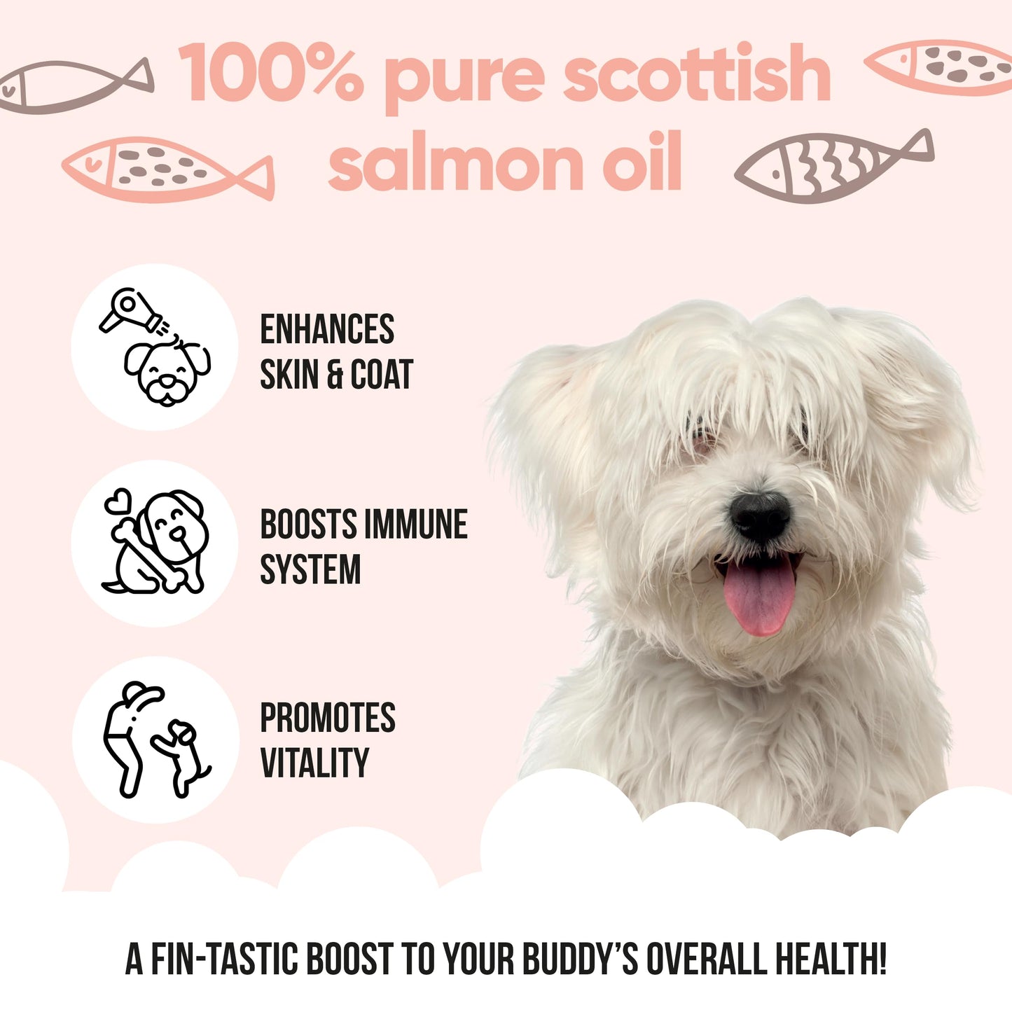 Buddycare Premium Salmon Oil for Dogs UK (500ml) | Essential Omega 3, 6 & 9 Cat & Dog Supplements | Natural Omega 3 For Cats | Salmon Oil For Cats for Immune Support