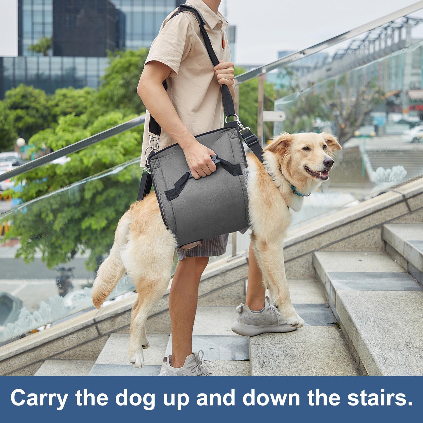 Dog Support Sling – Full Body Lift Harness for Senior & Injured Dogs