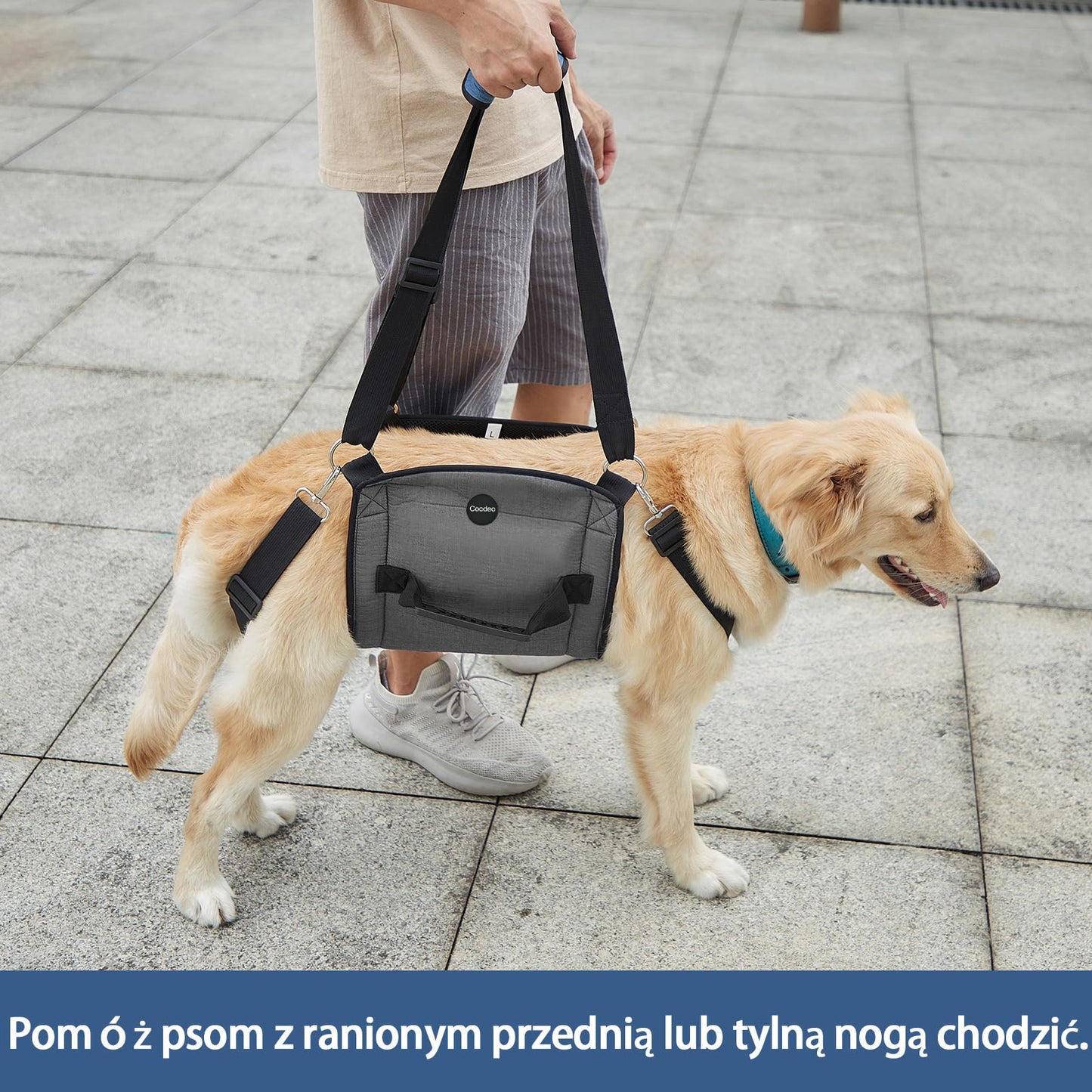 Dog Support Sling – Full Body Lift Harness for Senior & Injured Dogs