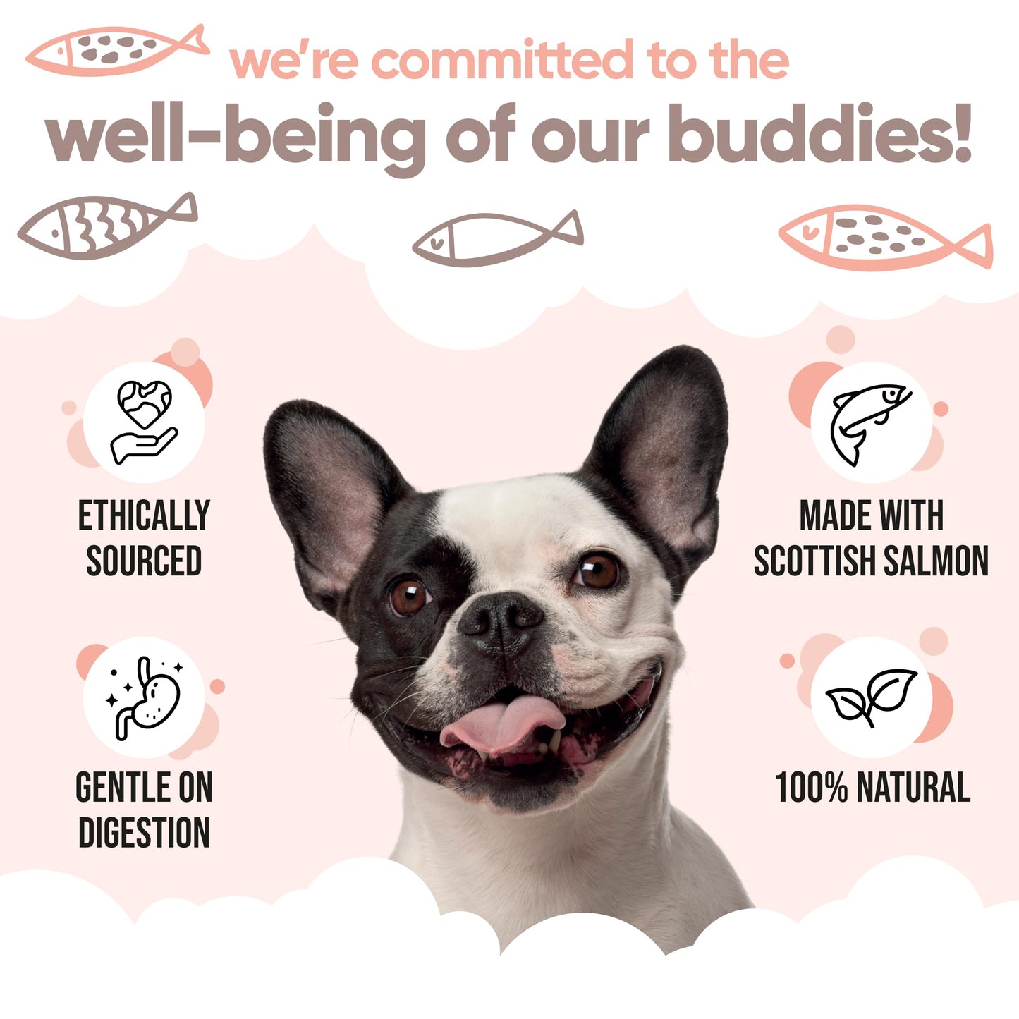 Buddycare Premium Salmon Oil for Dogs UK (500ml) | Essential Omega 3, 6 & 9 Cat & Dog Supplements | Natural Omega 3 For Cats | Salmon Oil For Cats for Immune Support