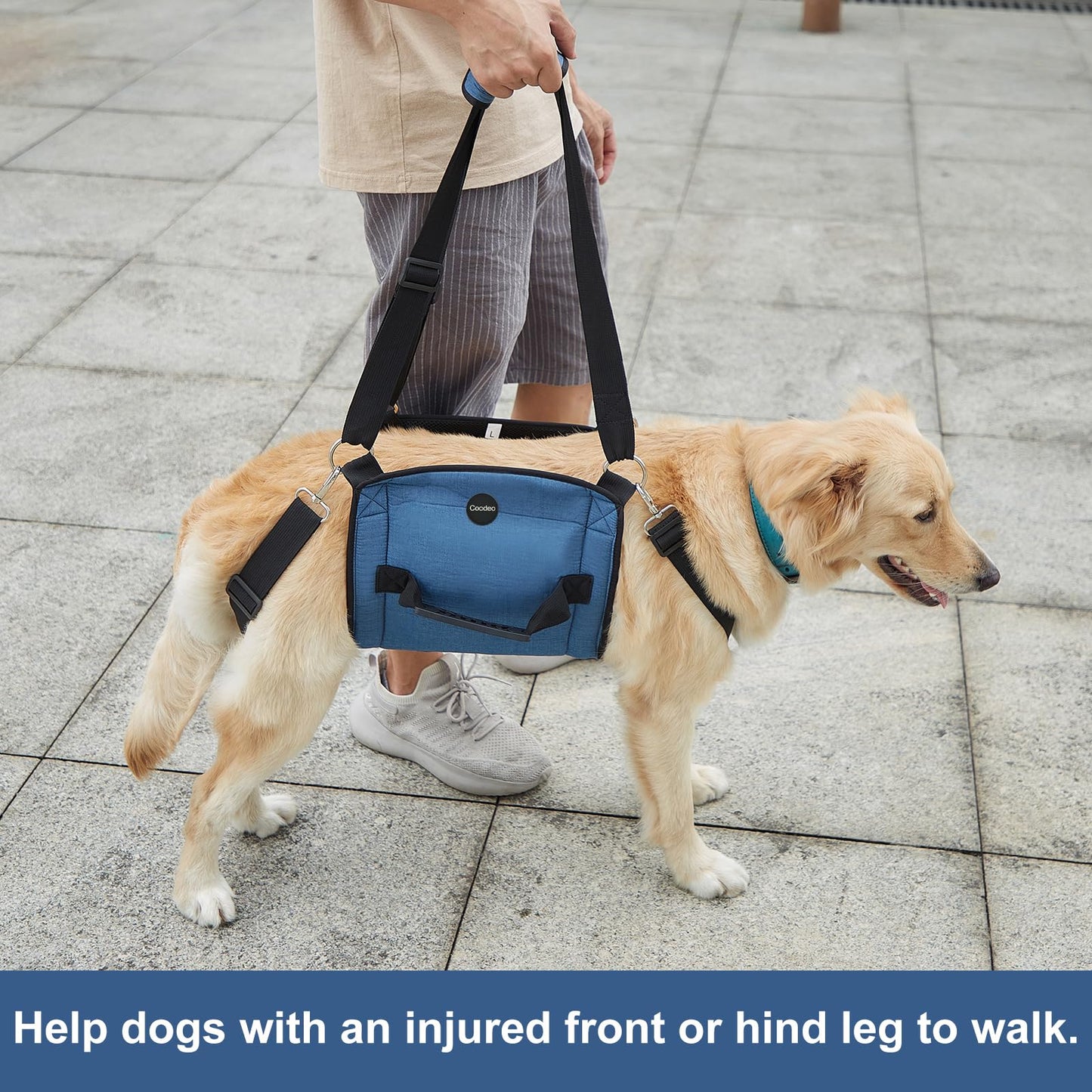Dog Support Sling – Full Body Lift Harness for Senior & Injured Dogs