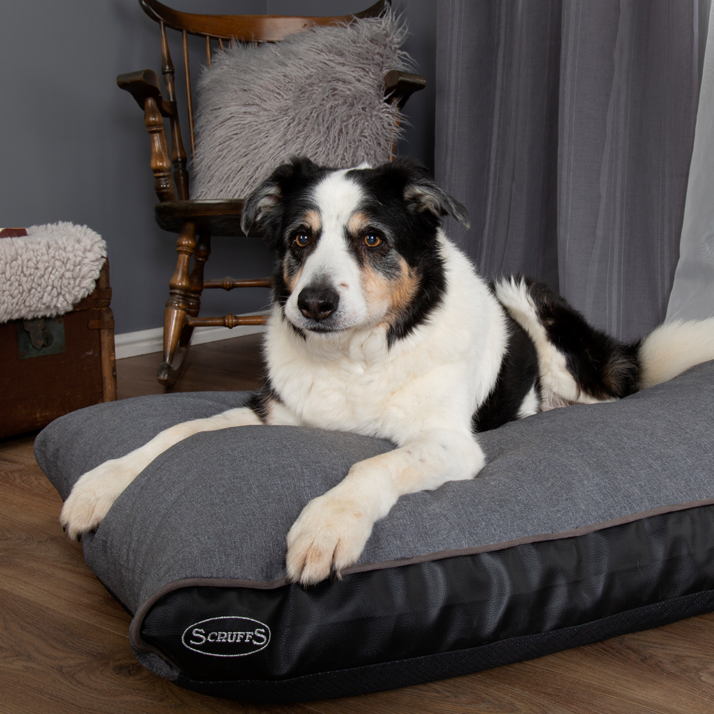 Hilton Memory Foam Orthopaedic Dog Bed / Dog Mattress (Burgundy, Brown, Grey) by Scruffs-7