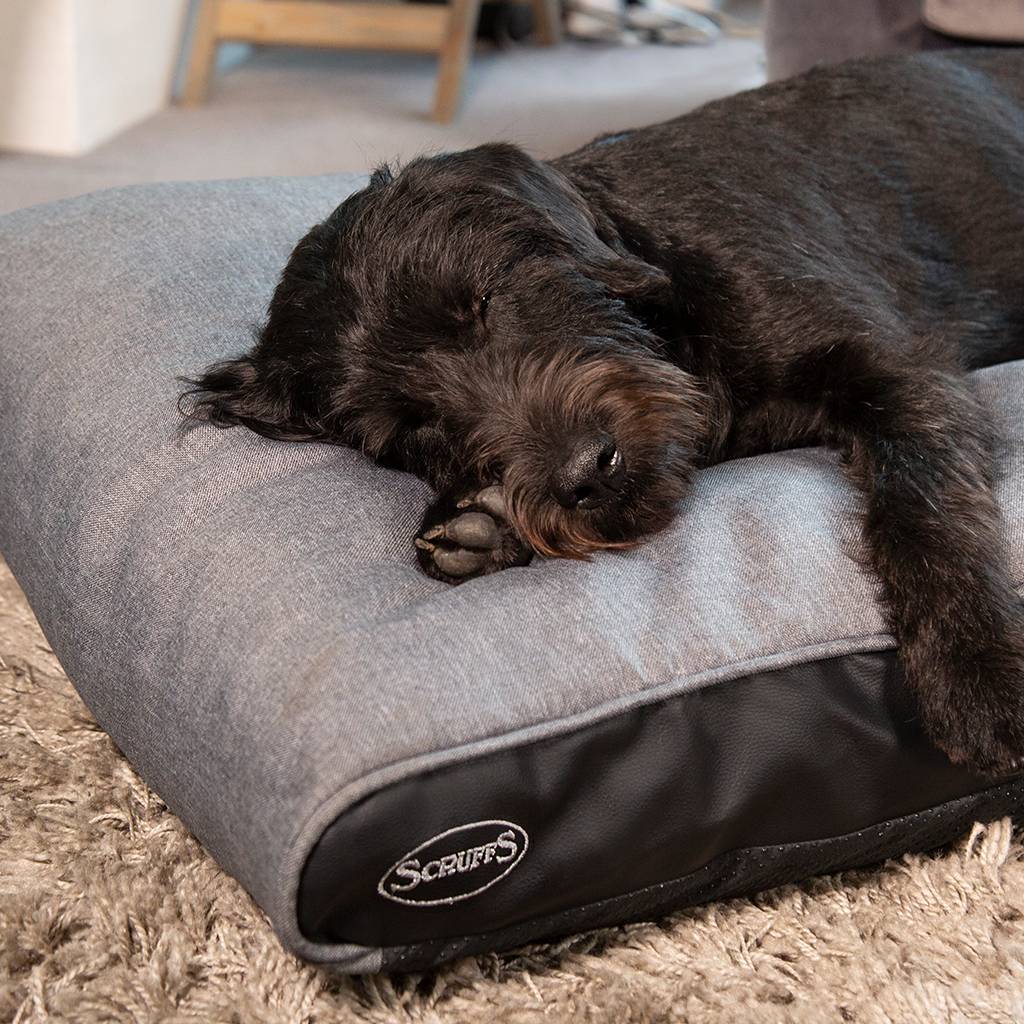 Hilton Memory Foam Orthopaedic Dog Bed / Dog Mattress (Burgundy, Brown, Grey) by Scruffs-8