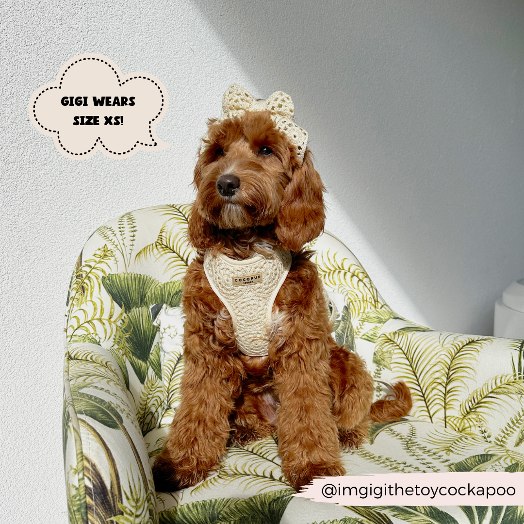 Festival Crochet Dog Harness – Adjustable, Lightweight & Stylish for Spring and Summer Walks