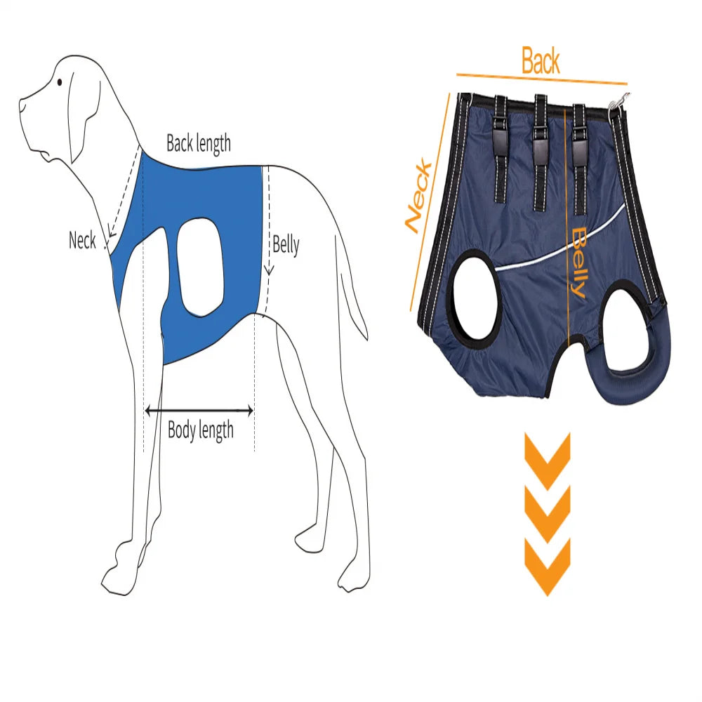 Lift & Love: Ultimate Support Harness for Dogs Pet Support Rehabilitation Sling Padded Breathable Straps for Old Disabled Joint Injuries Arthritis Dog Walk