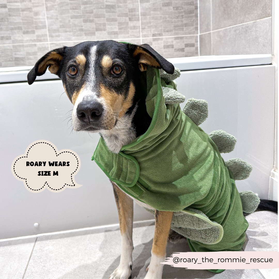 Dinopup Dog Drying Robe – Soft Microfibre Bathrobe with Dino Design