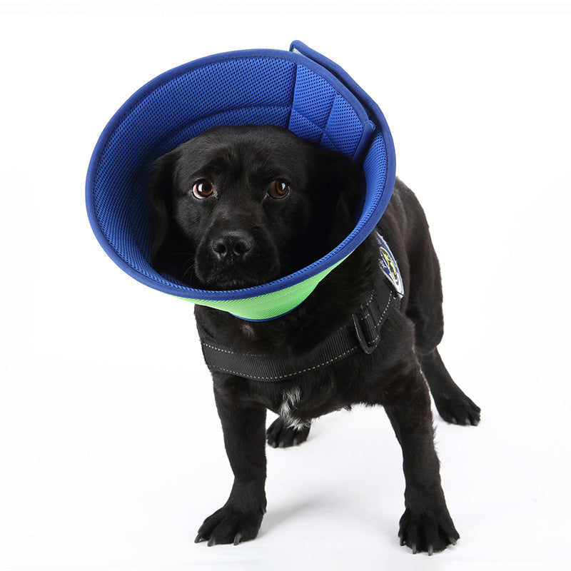 Pet Recovery Collar for Dogs and Cats-0