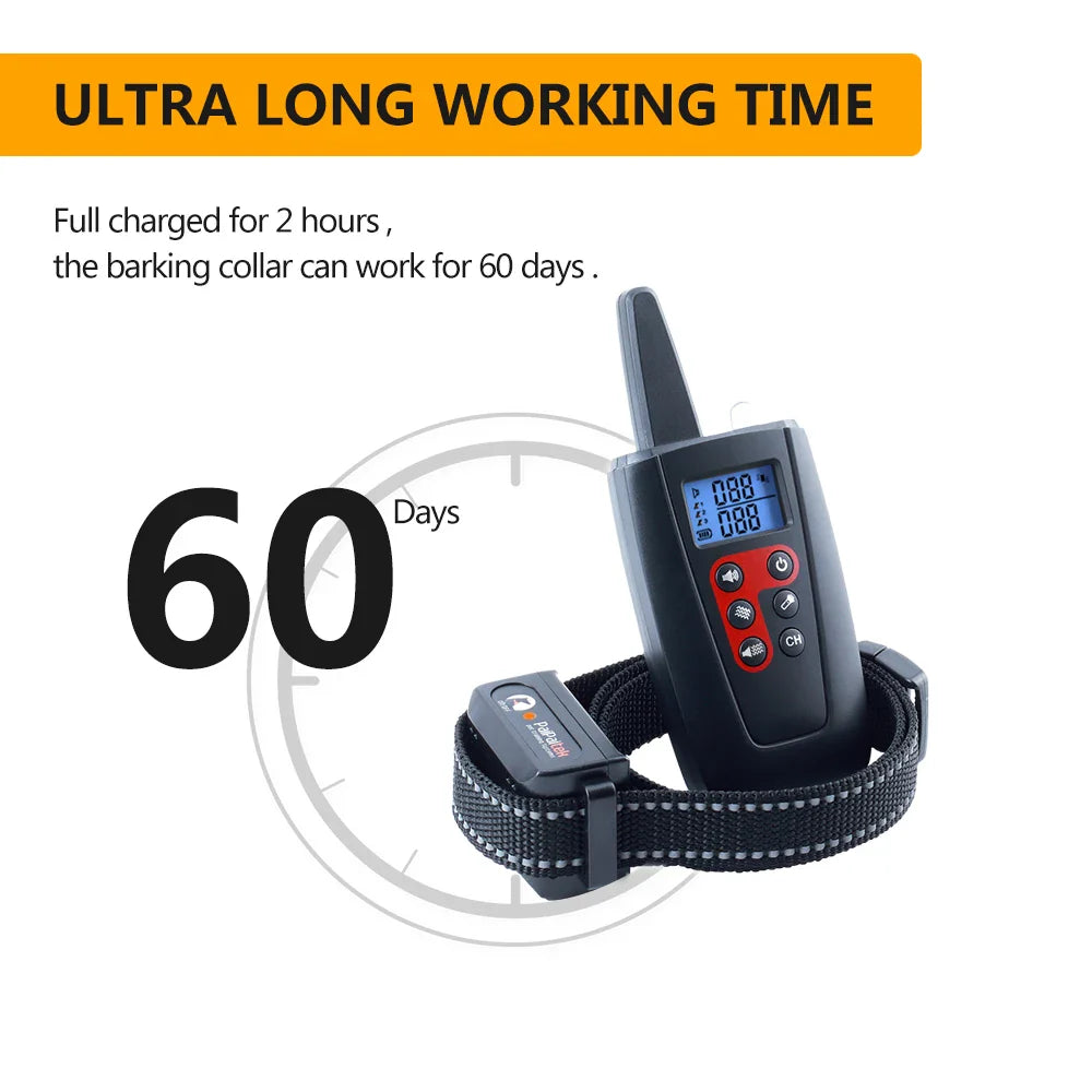 Pet training collar-2