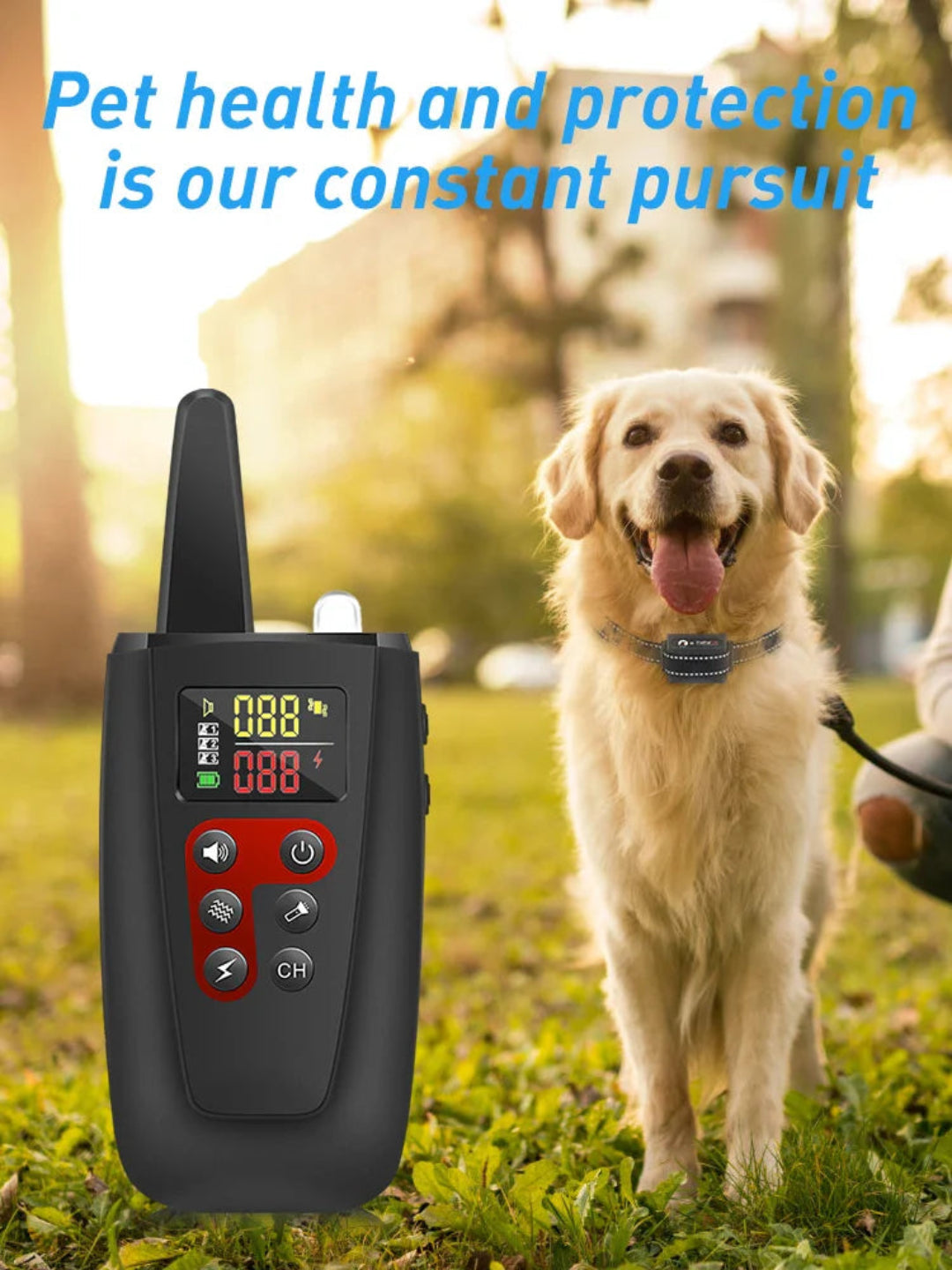 Pet training collar-3